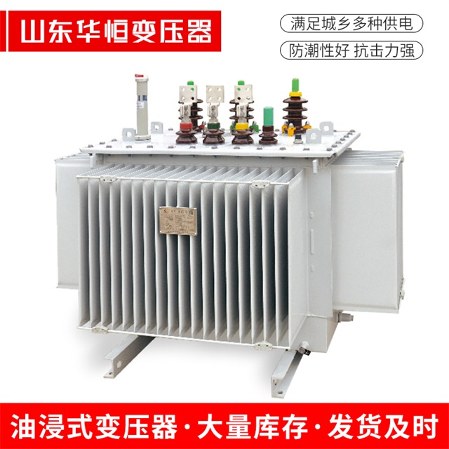 S13-10000/35镇巴镇巴镇巴电力变压器